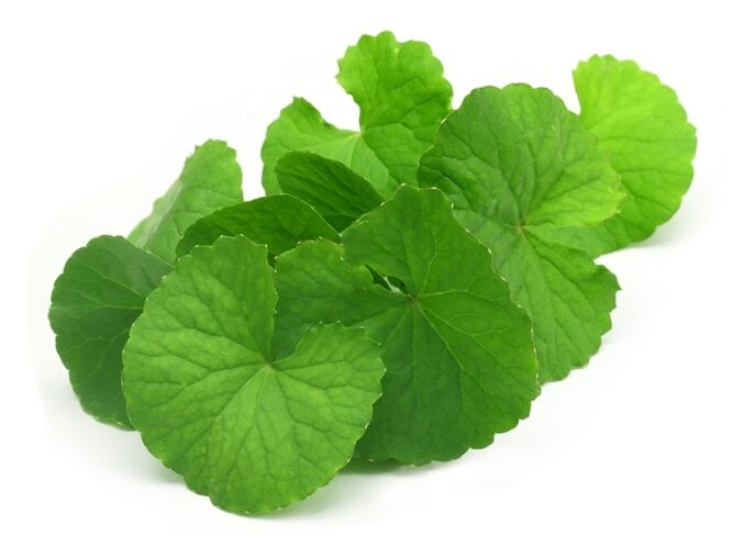 Gotu Kola com Prostamin Forte