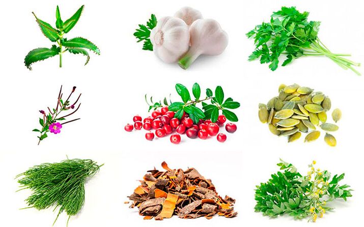 remédios populares para o tratamento da prostatite